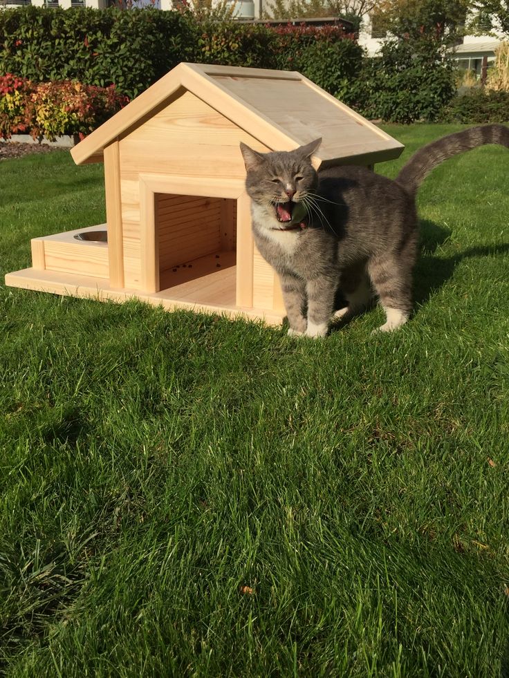 ART.W.AW.5051 - Animal Houses