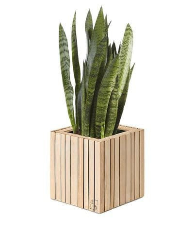 وحدة زرع بيج - ART.W.AW7005