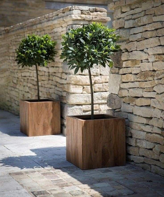 ART.W.AW70190 - وحدة زرع