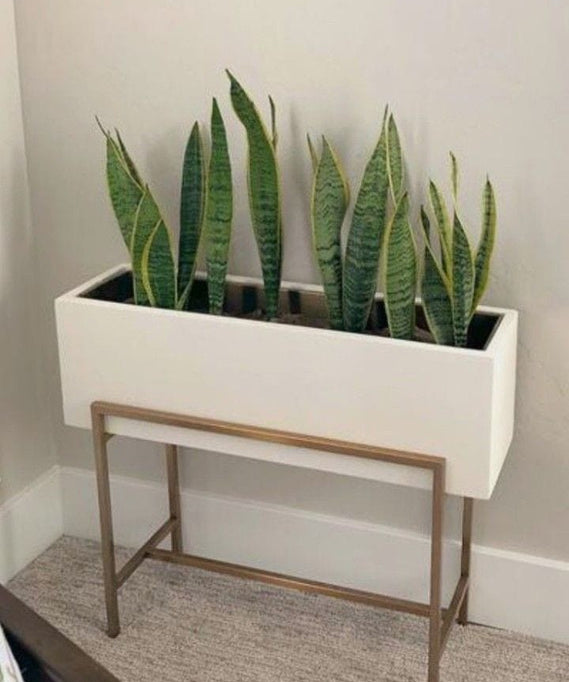 ART.W.AW70100 -وحدة زرع ابيض*ذهبي