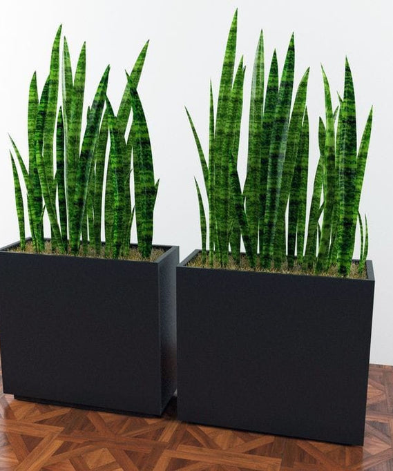 ART.W.AW70030 - وحدة زرع مزدوجة