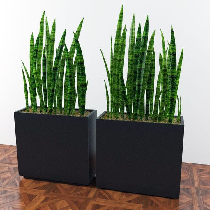 ART.W.AW70030 - وحدة زرع مزدوجة