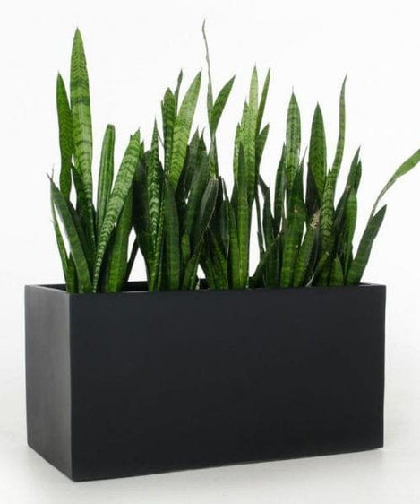 وحدات زرع اسود - ART.W.AW7001