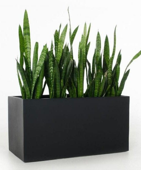 ART.W.AW70010 - وحدات زرع اسود