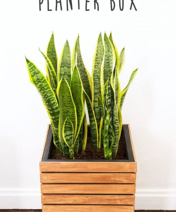 ART.W.AW7000 - Calf-Sized Planting Unit