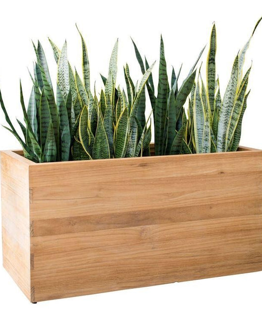 ART.W.AW70160  - وحدة زرع