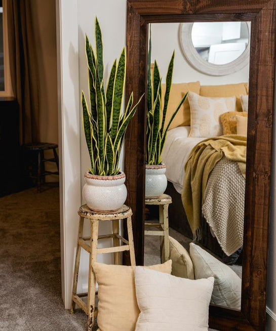 ART.W.AW.20403 - مرايا استاند