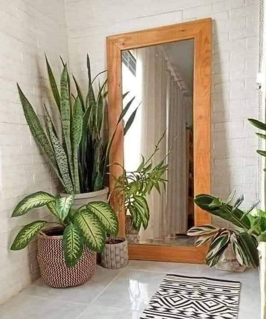 ART.W.AW.20424 - مرايا استاند