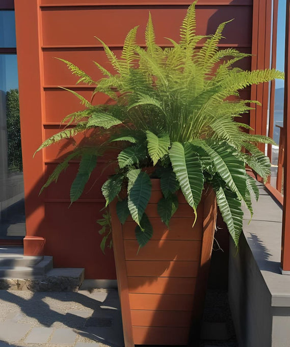 وحدة زرع ART.W.AW70263