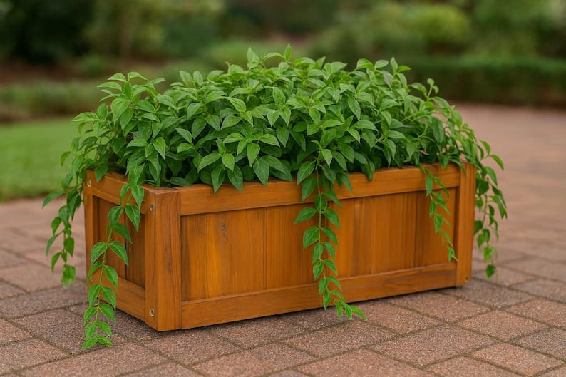 وحدة زرع ART.W.AW7077