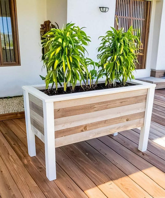 وحدة زرع ART.W.AW7078