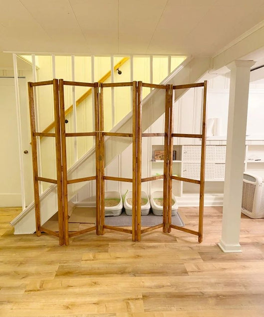 بارفان 5 فواصل