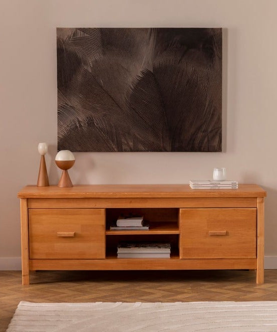 وحدة تليفزيون