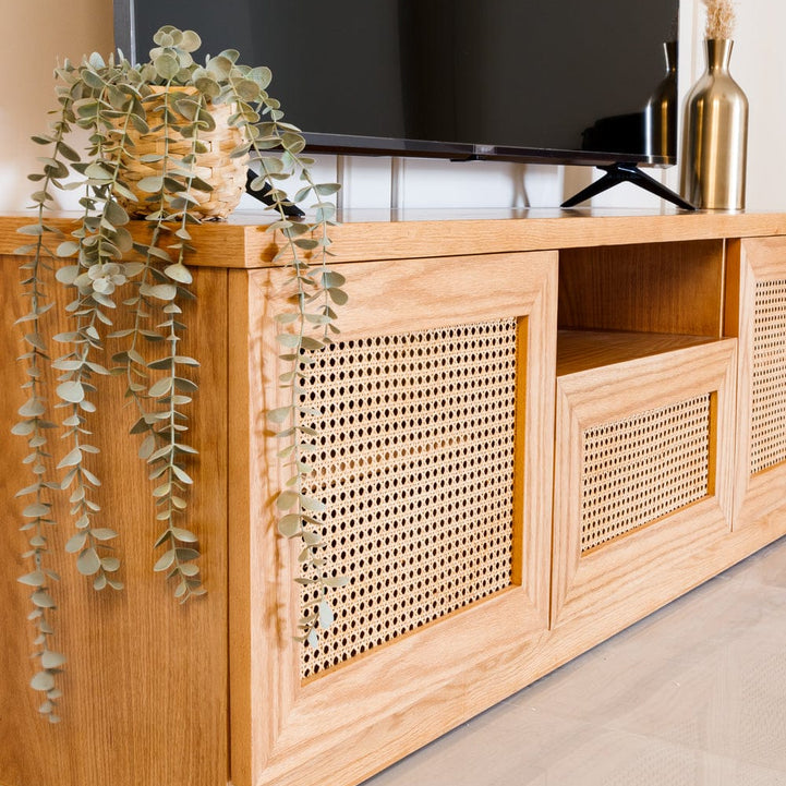TV unit