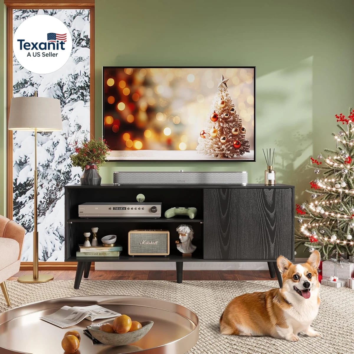 وحدة تليفزيون