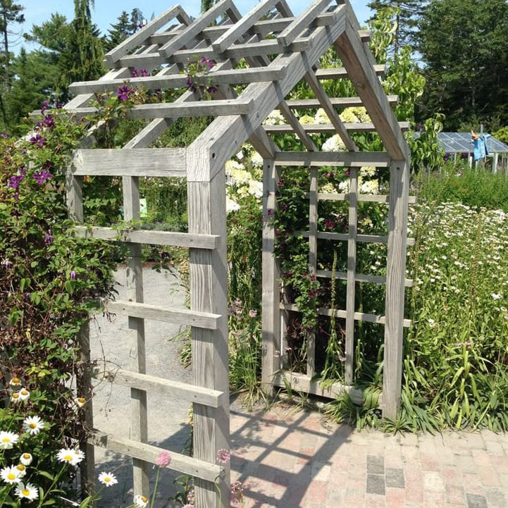 Pergola