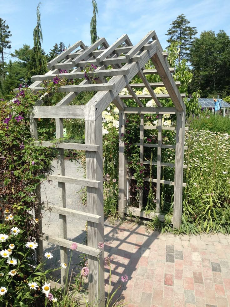 Pergola