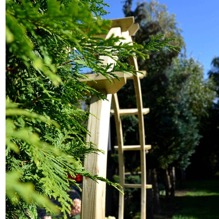 Pergola